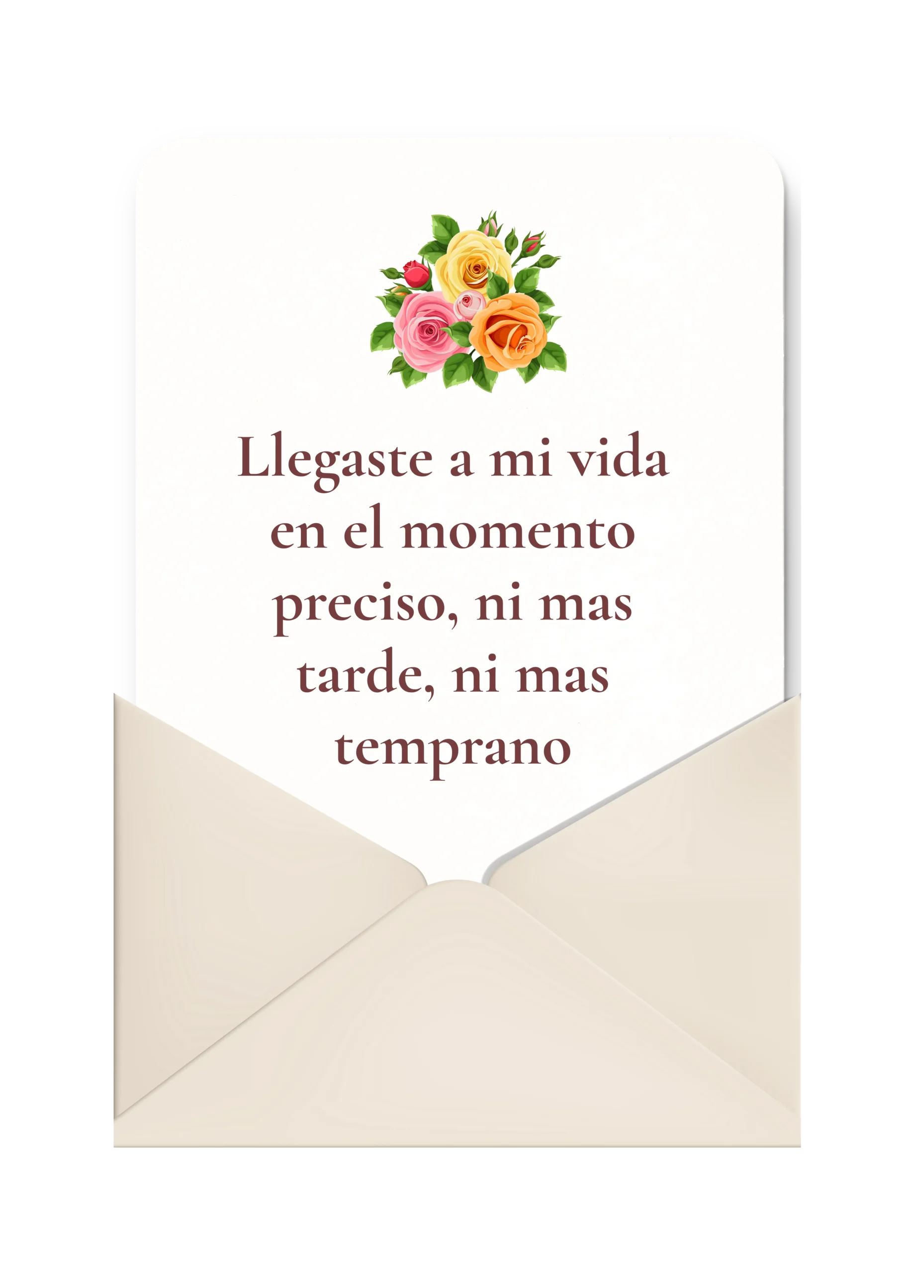 FRASE PREMIUM (8)